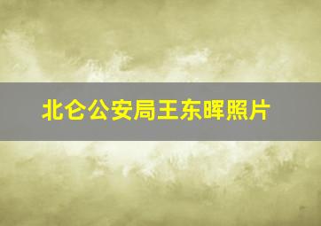 北仑公安局王东晖照片