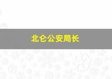 北仑公安局长