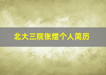 北大三院张煜个人简历