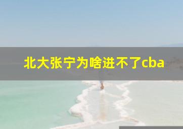 北大张宁为啥进不了cba