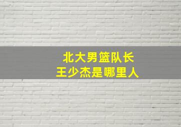 北大男篮队长王少杰是哪里人