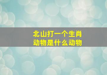 北山打一个生肖动物是什么动物