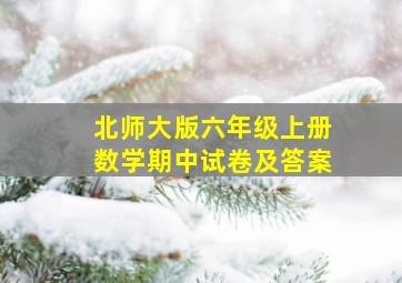 北师大版六年级上册数学期中试卷及答案