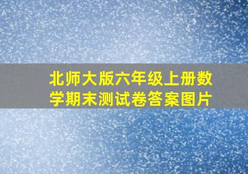 北师大版六年级上册数学期末测试卷答案图片