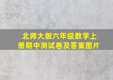 北师大版六年级数学上册期中测试卷及答案图片