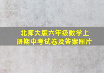 北师大版六年级数学上册期中考试卷及答案图片