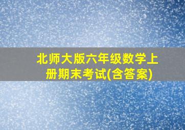 北师大版六年级数学上册期末考试(含答案)