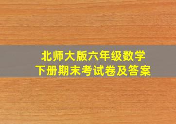 北师大版六年级数学下册期末考试卷及答案