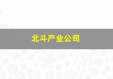 北斗产业公司