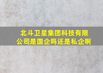 北斗卫星集团科技有限公司是国企吗还是私企啊