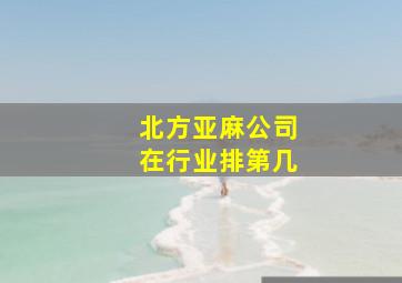 北方亚麻公司在行业排第几