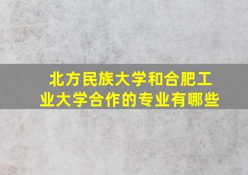 北方民族大学和合肥工业大学合作的专业有哪些