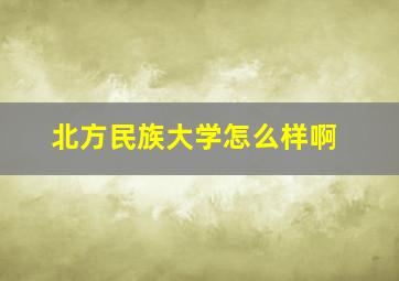 北方民族大学怎么样啊