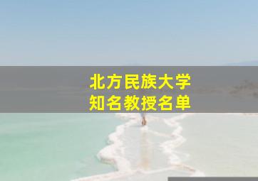 北方民族大学知名教授名单