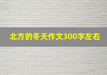 北方的冬天作文300字左右