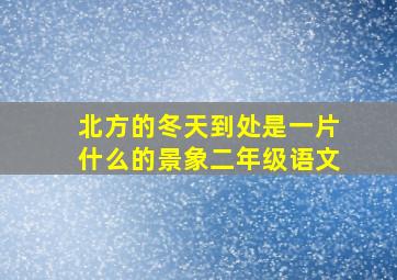 北方的冬天到处是一片什么的景象二年级语文