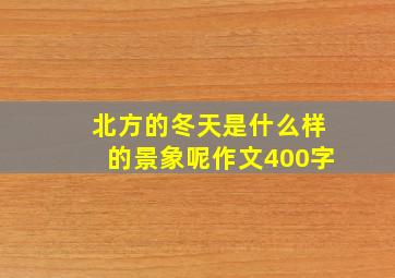 北方的冬天是什么样的景象呢作文400字