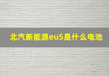 北汽新能源eu5是什么电池