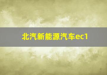 北汽新能源汽车ec1