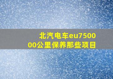 北汽电车eu750000公里保养那些项目