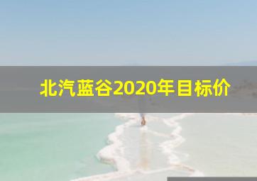 北汽蓝谷2020年目标价