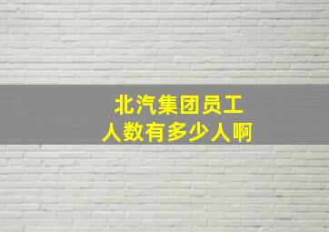 北汽集团员工人数有多少人啊