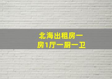 北海出租房一房1厅一厨一卫