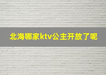 北海哪家ktv公主开放了呢