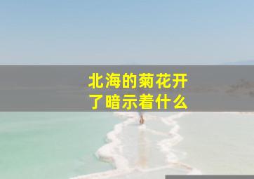 北海的菊花开了暗示着什么