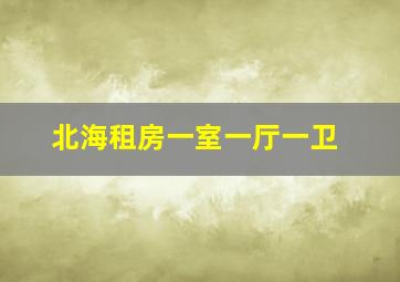 北海租房一室一厅一卫