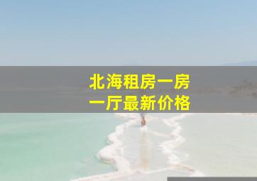 北海租房一房一厅最新价格