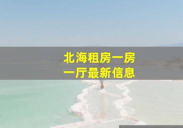 北海租房一房一厅最新信息