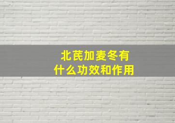 北芪加麦冬有什么功效和作用