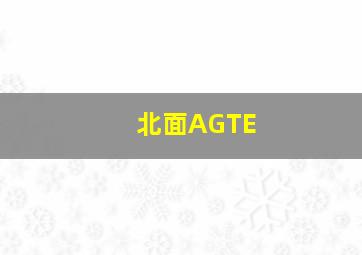 北面AGTE