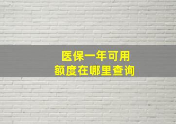 医保一年可用额度在哪里查询