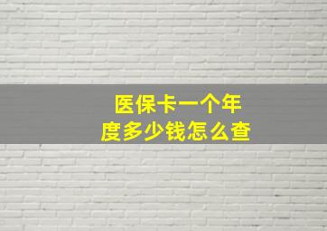 医保卡一个年度多少钱怎么查