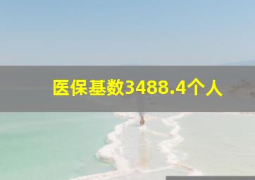 医保基数3488.4个人