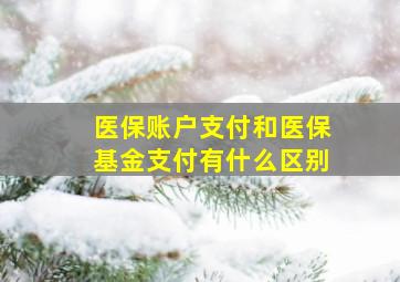 医保账户支付和医保基金支付有什么区别