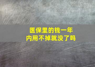 医保里的钱一年内用不掉就没了吗