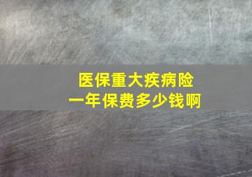 医保重大疾病险一年保费多少钱啊