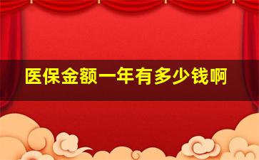 医保金额一年有多少钱啊