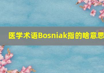 医学术语Bosniak指的啥意思