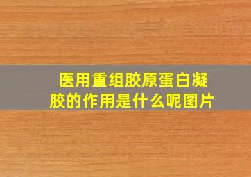 医用重组胶原蛋白凝胶的作用是什么呢图片