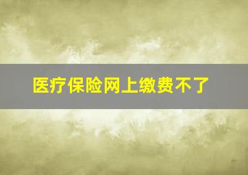 医疗保险网上缴费不了