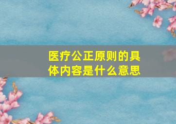 医疗公正原则的具体内容是什么意思