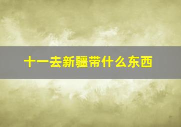 十一去新疆带什么东西