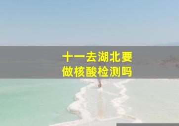 十一去湖北要做核酸检测吗