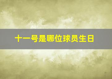 十一号是哪位球员生日