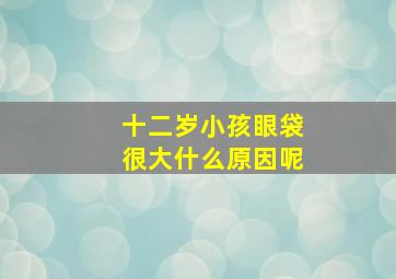 十二岁小孩眼袋很大什么原因呢