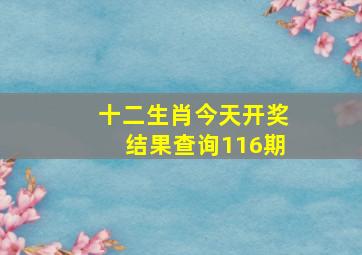 十二生肖今天开奖结果查询116期